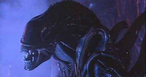 xenomorph.jpg