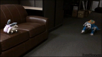 tumblr_n6adopmP6L1s02vreo1_400.gif