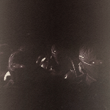 tumblr_meg5ecan0a1qi0d7lo3_r1_250.gif