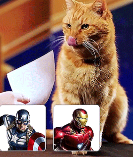 tumblr_pnpz8t2Ju51rpf3pso2_r1_400.gif