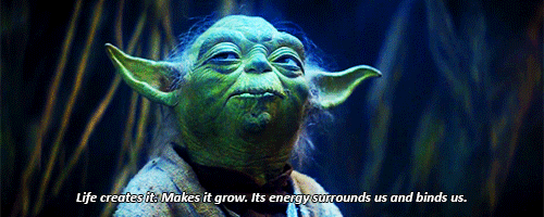tumblr_o0dx999t3h1rnh54wo1_500.gif
