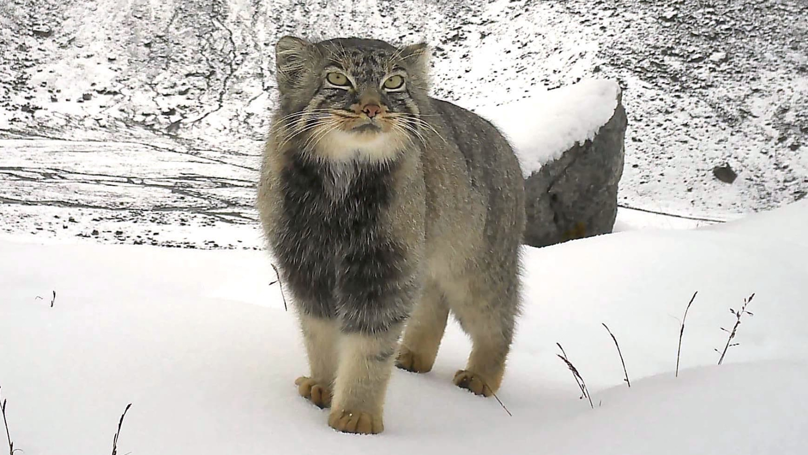 www.livescience.com