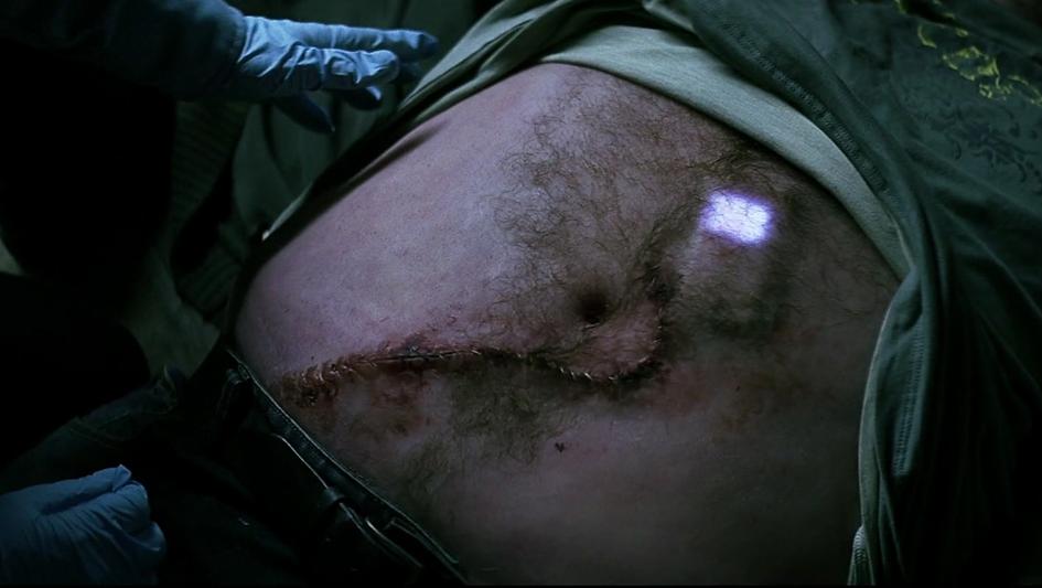 cellstomach.jpg