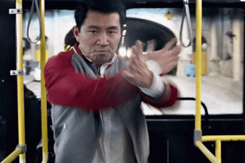 kung-fu-ready.gif