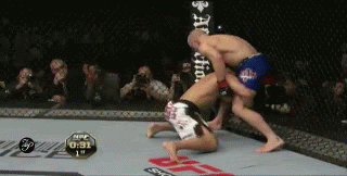 g6.gif
