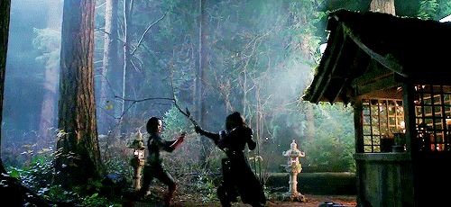 tumblr_o17xf3wQfv1s239dso3_500.gif