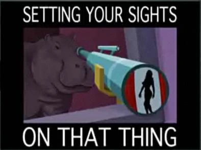 Settingsights.JPG