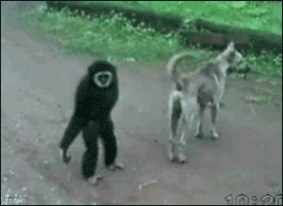 0e1a560055ec12fd351722029b716a4f.gif