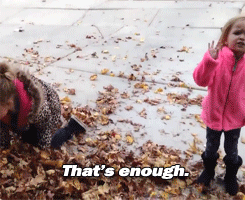 tumblr_mw21fr4X8s1s5z7gpo1_250.gif