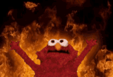 IMG-3174.gif