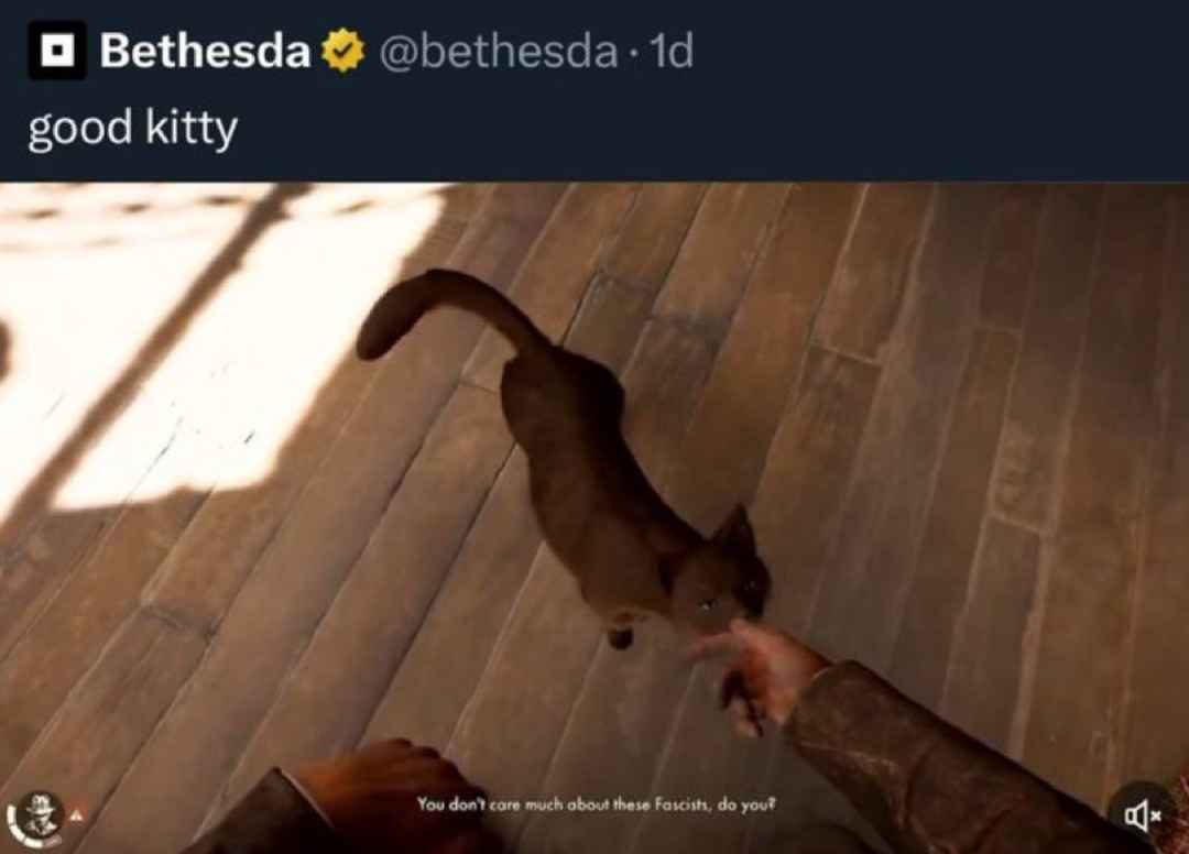 boingboing.net