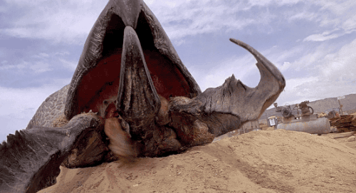 tumblr_od4zsqPaG11qcqcnbo1_500.gif