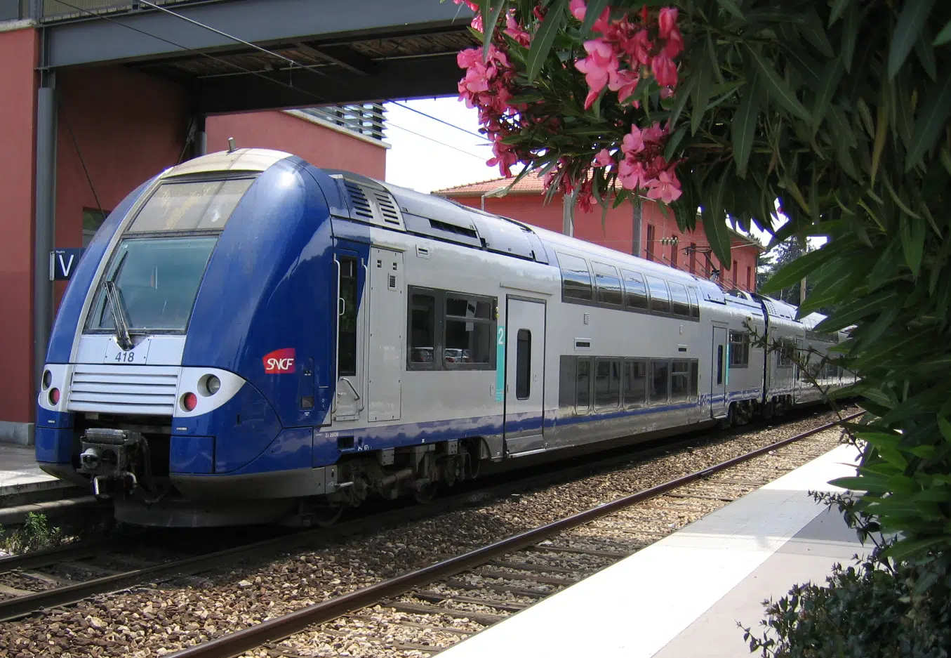 TRAIN_TER1.jpg.webp