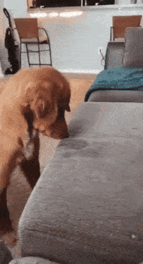 going-to-get-it.gif