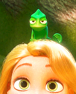 tumblr_mzrkd7s53v1tq4of6o1_250.gif