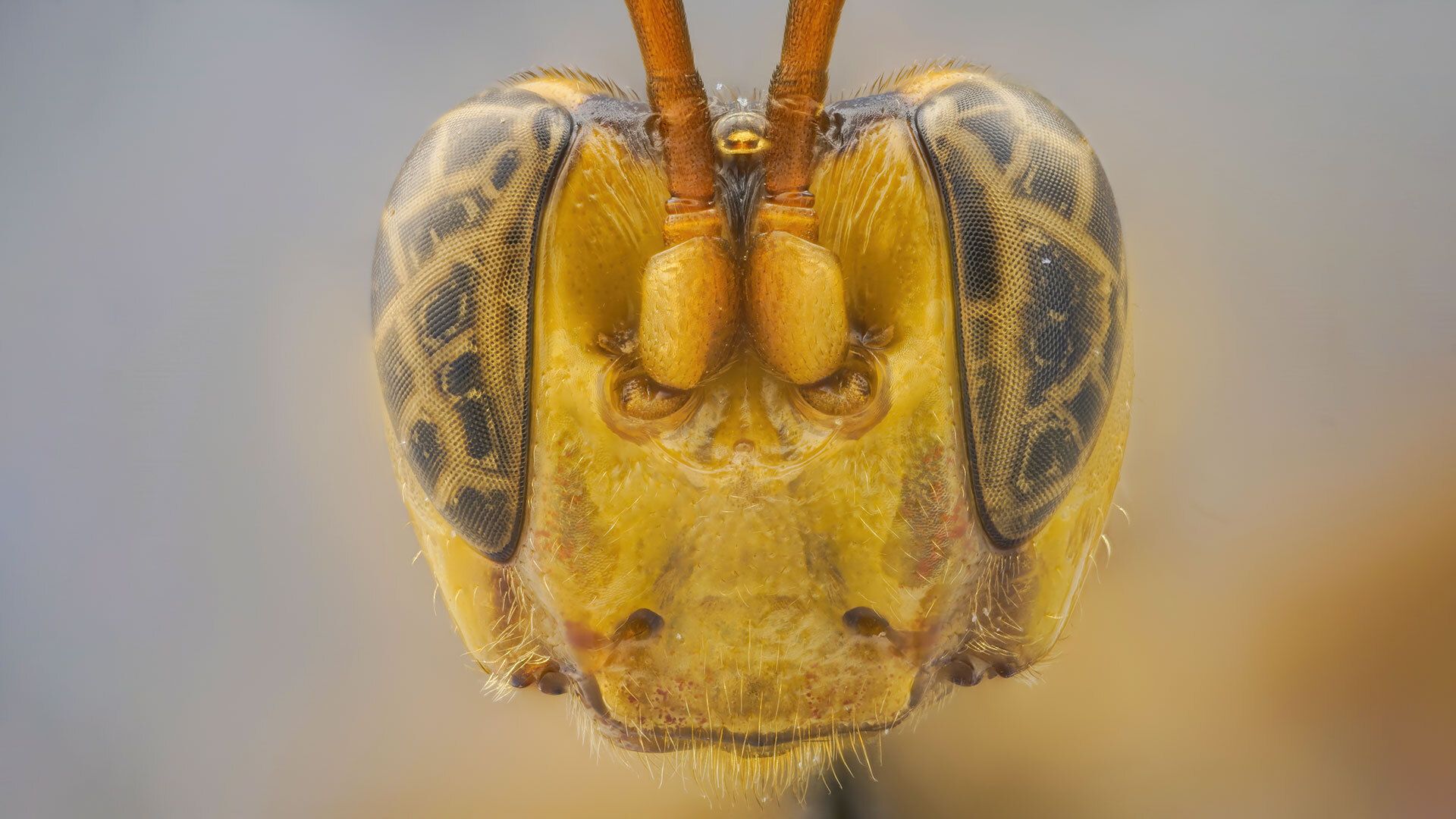www.livescience.com
