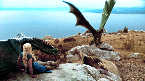 tumblr_n27ag6VZFQ1qj7g7io1_500.gif