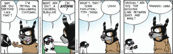 Get-Fuzzy-Sept-17-2013-570x180.gif
