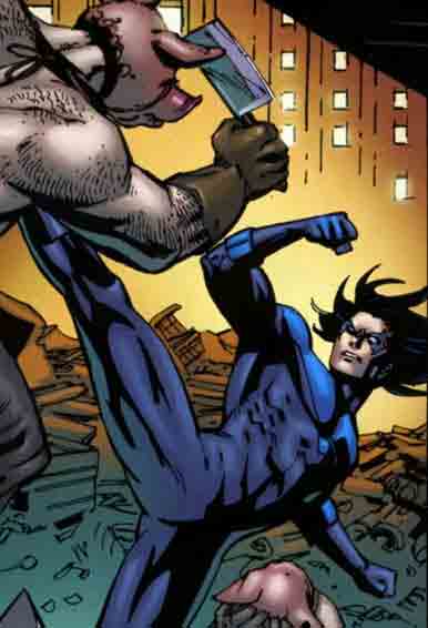 nightwing1.jpg