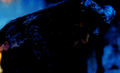 tumblr_ogmz3u8Vz21sjcg5bo9_r1_250.gif