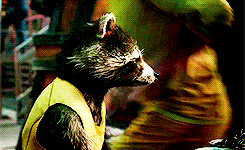 tumblr_n97k0rRWPB1s66zfno7_250.gif