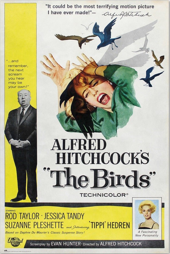 alfred-hitchcock-the-birds-i116109.jpg