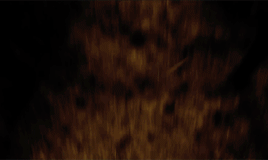 tumblr_plgflg73at1y4hi48o3_400.gif