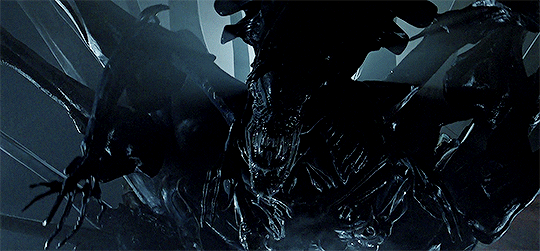 tumblr_pj89wz78Ni1s7xfipo7_540.gifv