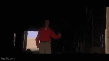 8qe8r0.gif