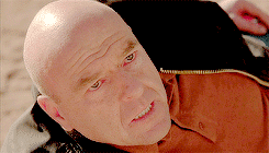 tumblr_nbykcdiPH91rrutvoo1_250.gif