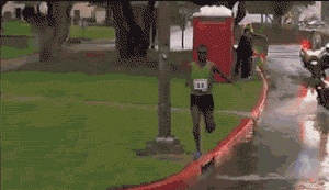 tumblr_inline_mzuch2rGoG1ql63ad.gif