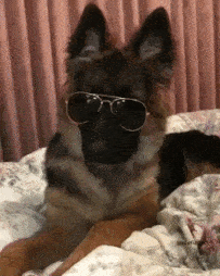 wazzzzzzzzzzup713322.gif