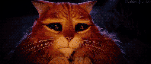 tumblr_lu342rvBMV1qgclmxo1_500.gif