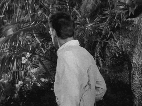 1309baf45b592eb9e2569d942ba6416d.gif