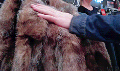 tumblr_nbn7pt29W61qdlvg6o2_250.gif