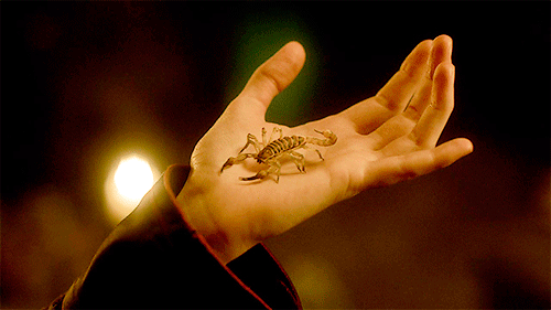 tumblr_nr2cjtDlj61r4d3w4o2_500.gif