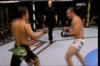 256wcw7.gif