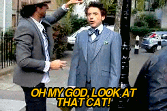 tumblr_m1rd97JMtB1qajc4eo1_250.gif