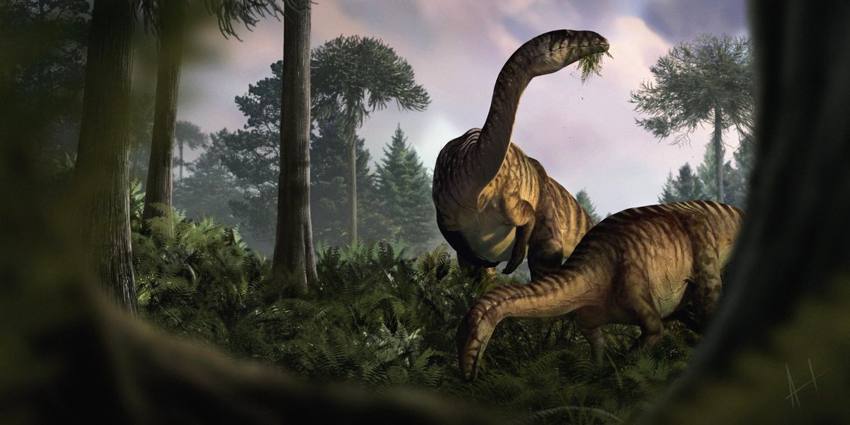 www.livescience.com