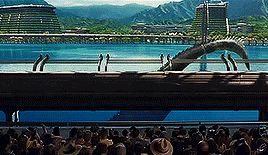 tumblr_nradpooXWJ1tc05ego4_400.gif