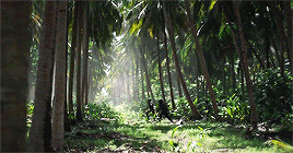 tumblr_oezn4wq9x11sdiuwlo5_r1_400.gif