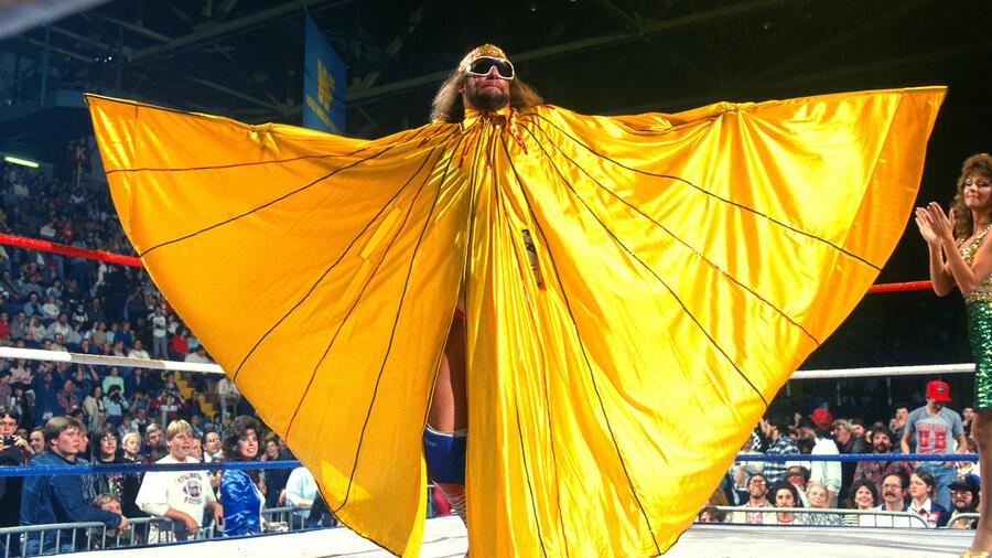 Randy_Savage_bio.jpg
