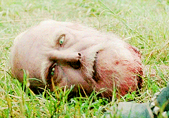 tumblr_n0rhj0tE3Y1qdk4doo2_250.gif