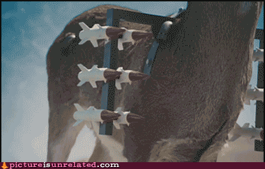 X88zSXeto0a9qiOFRc2Twg2.gif