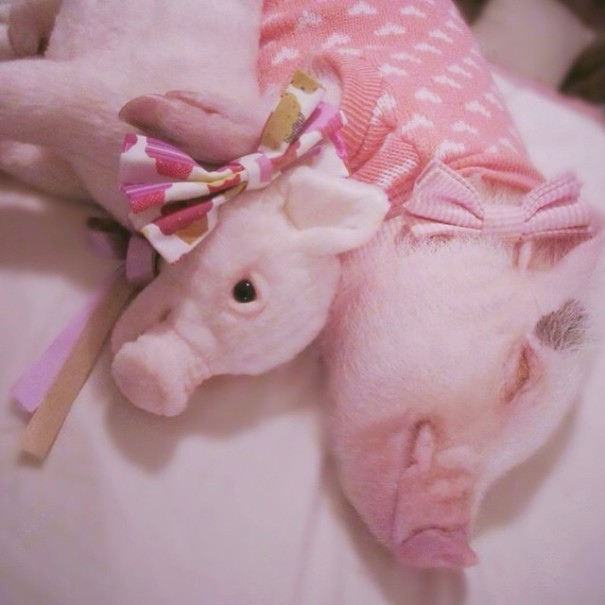 tumblr_nk2pd9FrDV1qh66wqo2_640.jpg