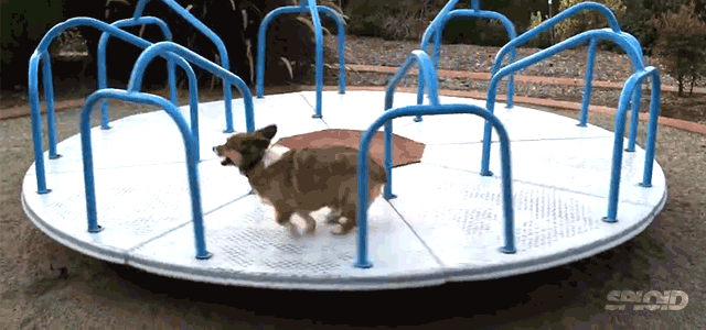 wscyyq2t8vo7qyk952nd.gif