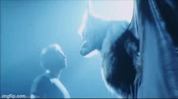 1630b575ffc05a035bd00b409b3af167.gif
