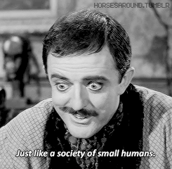 tumblr_nwnoghS36X1snusg4o2_250.gif
