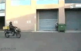 tumblr_n4bs2wmBBr1tv4atfo1_400.gif