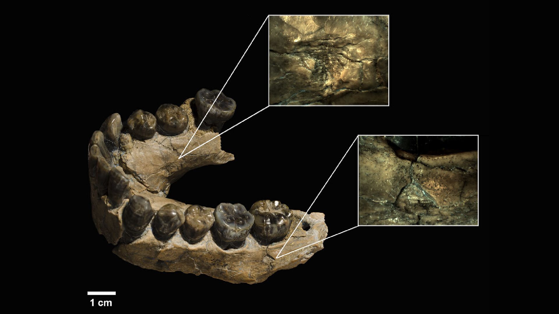 www.livescience.com